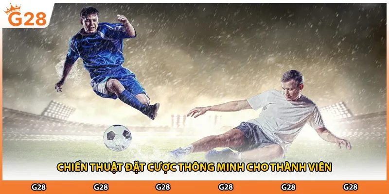 Chiến thuật đặt cược thông minh cho thành viên