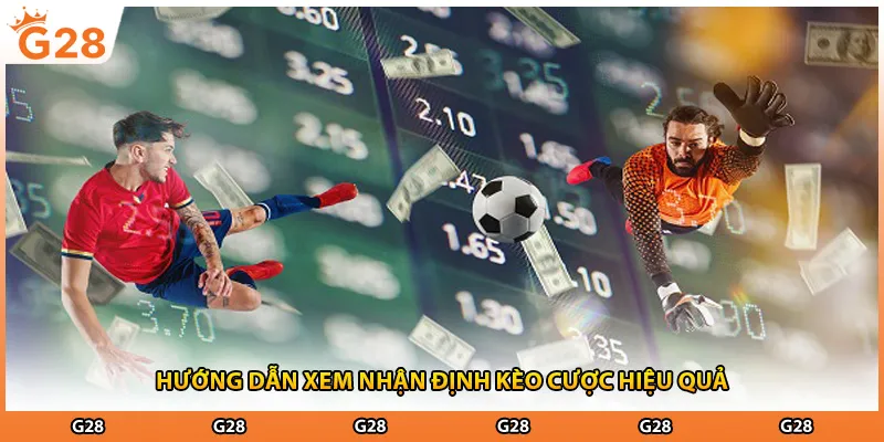 Hướng dẫn xem nhận định kèo cược hiệu quả