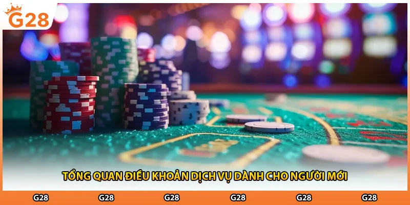 Tổng quan điều khoản dịch vụ dành cho người mới